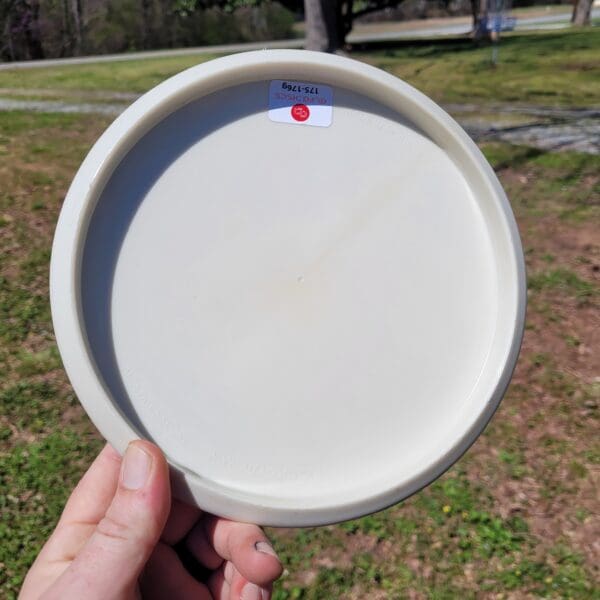 A person holding a white plate in their hand.