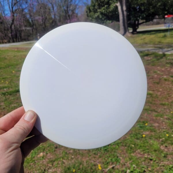 A person holding a frisbee in their hand.