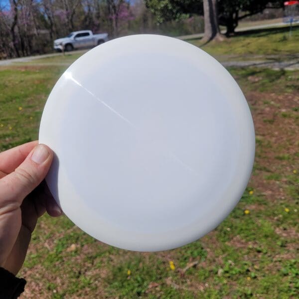 A person holding a frisbee in their hand.