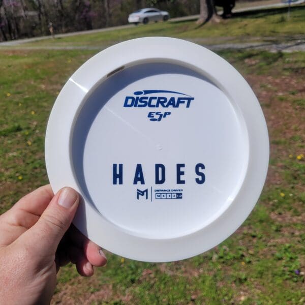 A person holding a frisbee in their hand.