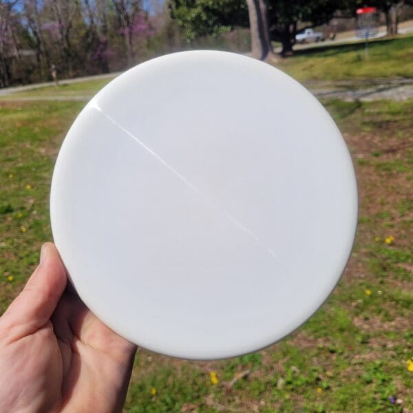 A person holding a frisbee in their hand.