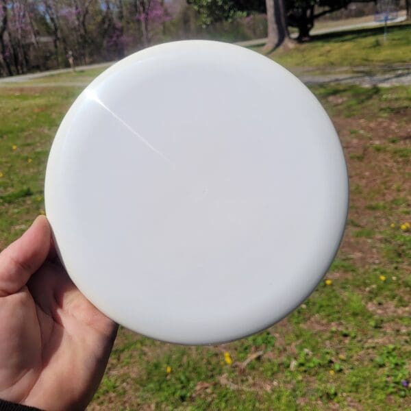 A person holding a frisbee in their hand.