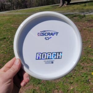 A person holding a frisbee in their hand.