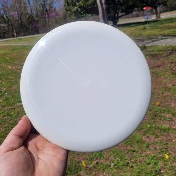 A person holding a frisbee in their hand.