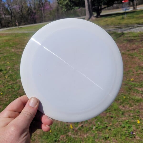 A person holding a frisbee in their hand.