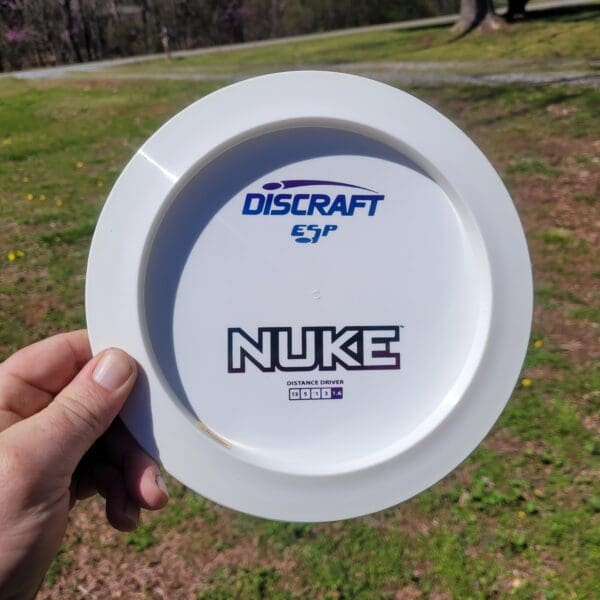 A person holding a frisbee in their hand.