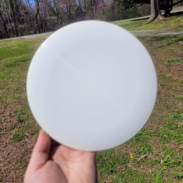 A person holding a frisbee in their hand.