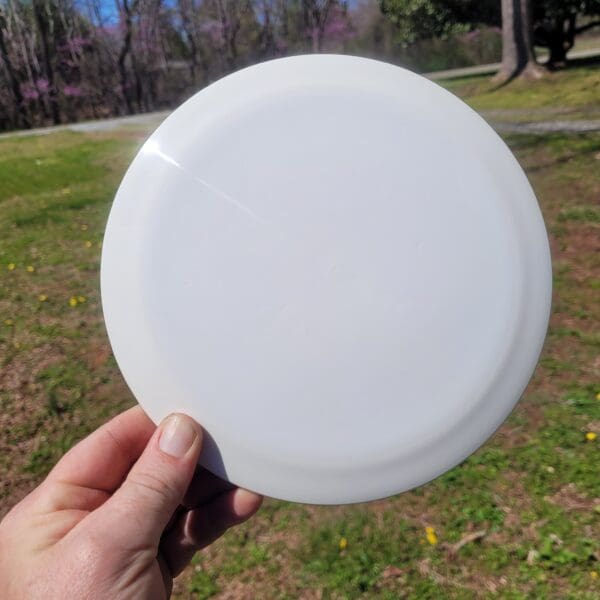 A person holding a frisbee in their hand.