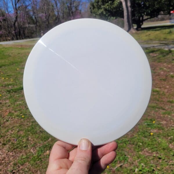 A person holding a frisbee in their hand.