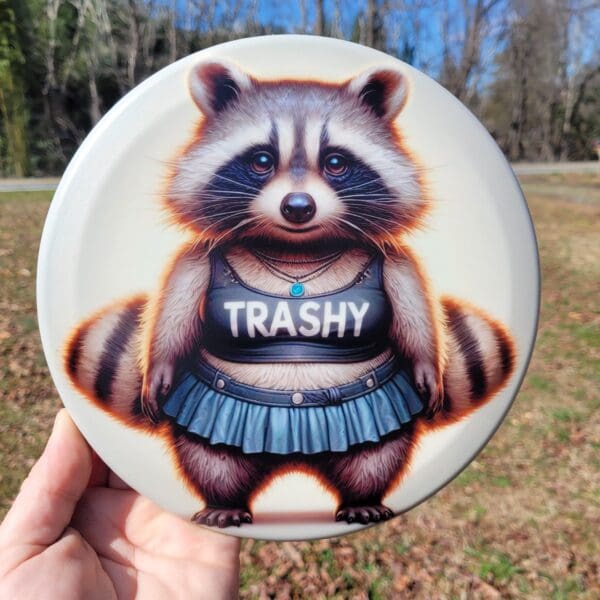 Custom Trash Panda Disc Golf - Basic Recycled INNER CORE 171gm Putt and Approach - Image 3